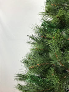 New Zealand Pine Christmas Tree