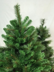 Colorado Christmas Tree (Instant Shape)